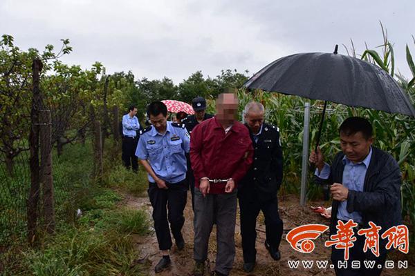 归家异途2职业怎么选