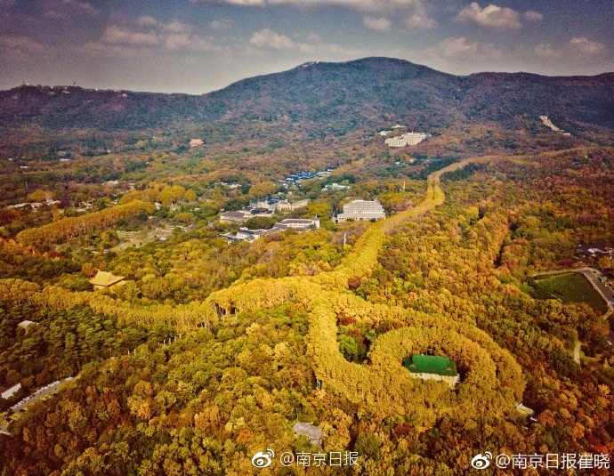 幽灵线东京下草神社的狸猫在哪里