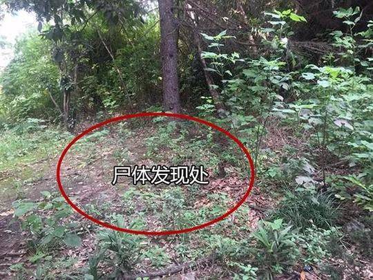 [彩神彩票]